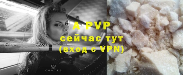 стаф Абаза