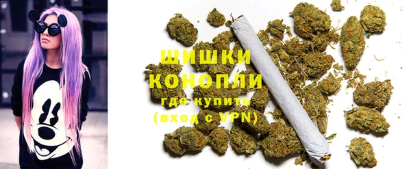 стаф Абаза