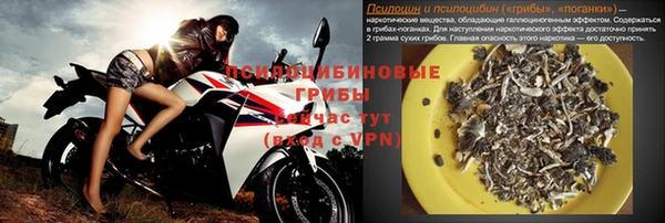 PSILOCYBIN Абинск
