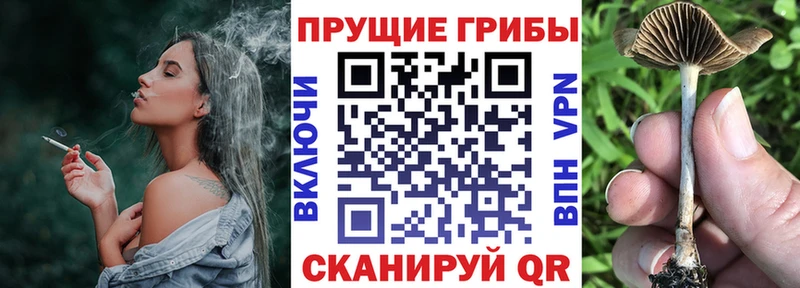 Галлюциногенные грибы прущие грибы Азнакаево