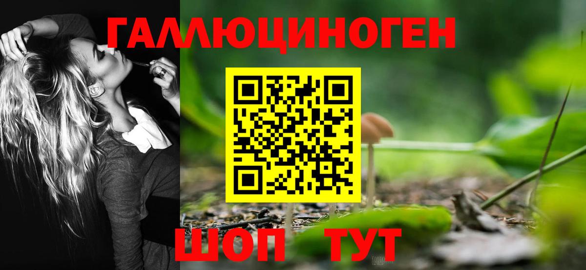 Галлюциногенные грибы Psilocybine cubensis Азнакаево
